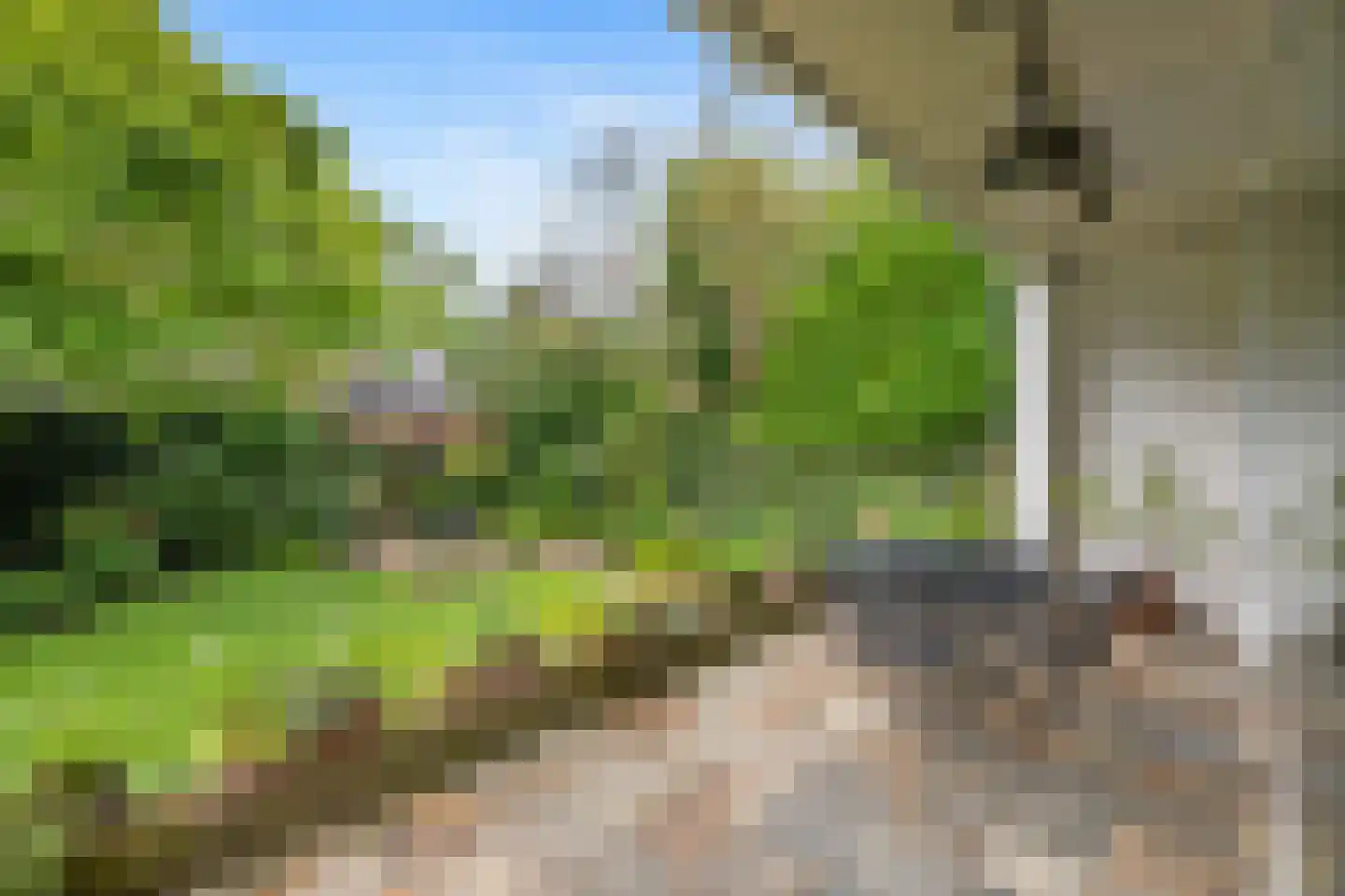 Waldeck-Pyrmontlaan 10 Rotterdam thumbnail 22