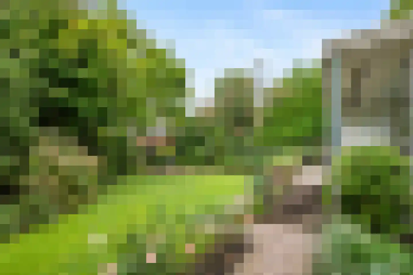 Waldeck-Pyrmontlaan 10 Rotterdam thumbnail 24