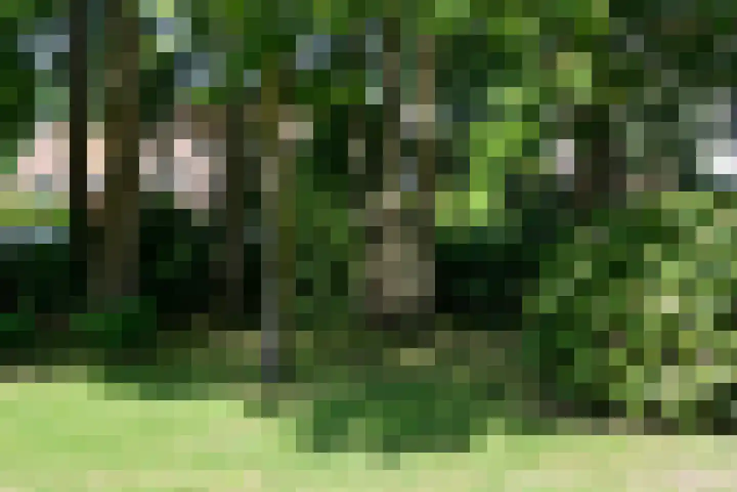 Waldeck Pyrmontlaan 11 Baarn thumbnail 28