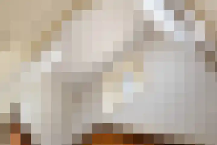 Waldeck Pyrmontlaan 11 Soest thumbnail 10