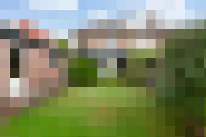 Waldeck Pyrmontlaan 11 Soest thumbnail 20