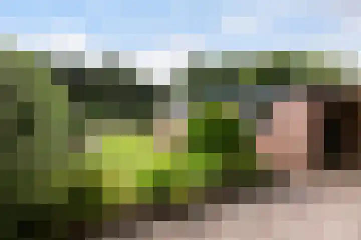 Waldeck Pyrmontlaan 11 Soest thumbnail 22