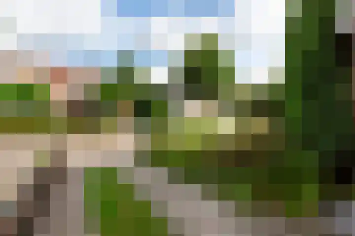 Waldeck Pyrmontlaan 11 Soest thumbnail 24