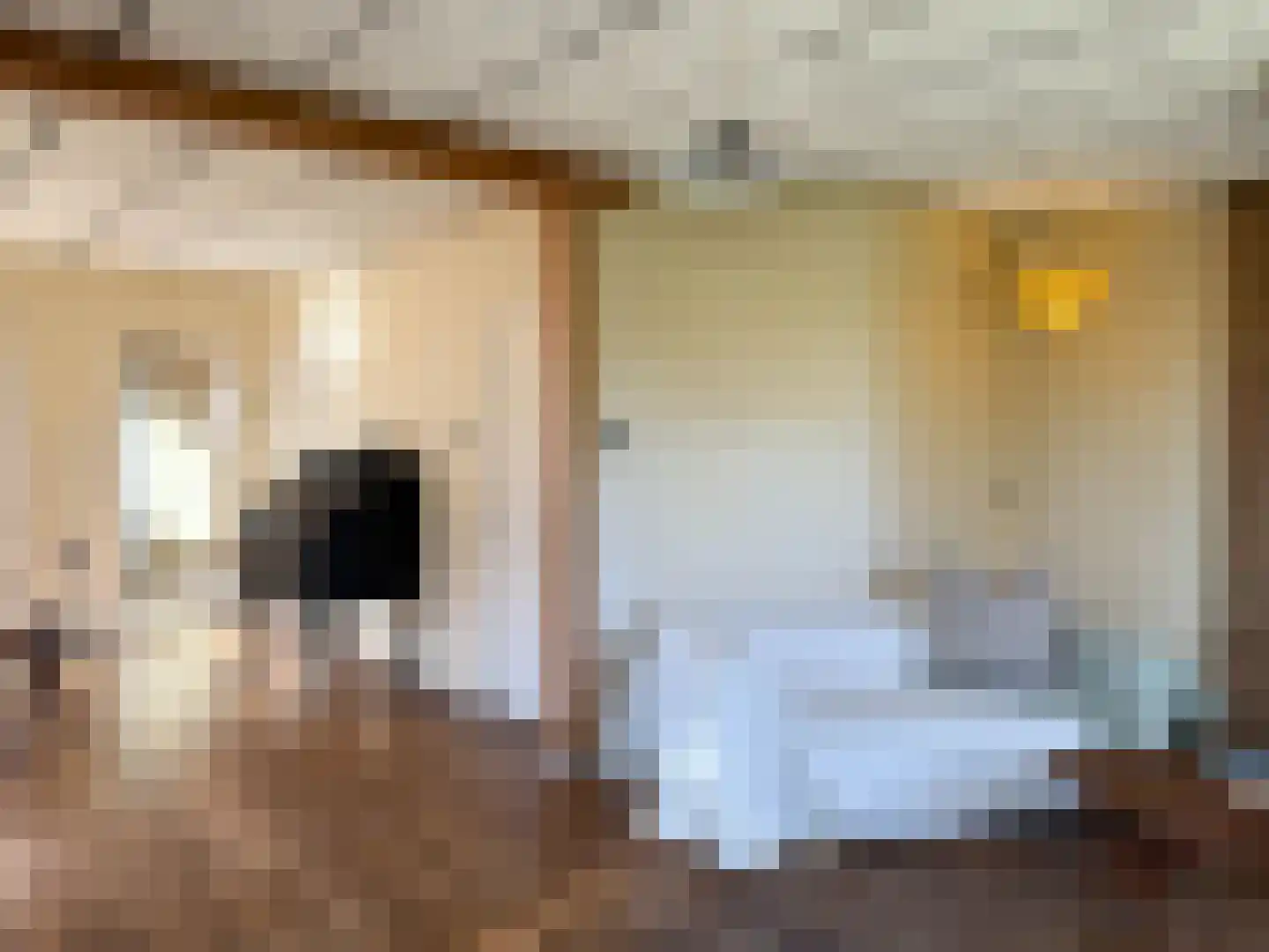 Waldeck Pyrmontlaan 12 Bergen (NH) thumbnail 4