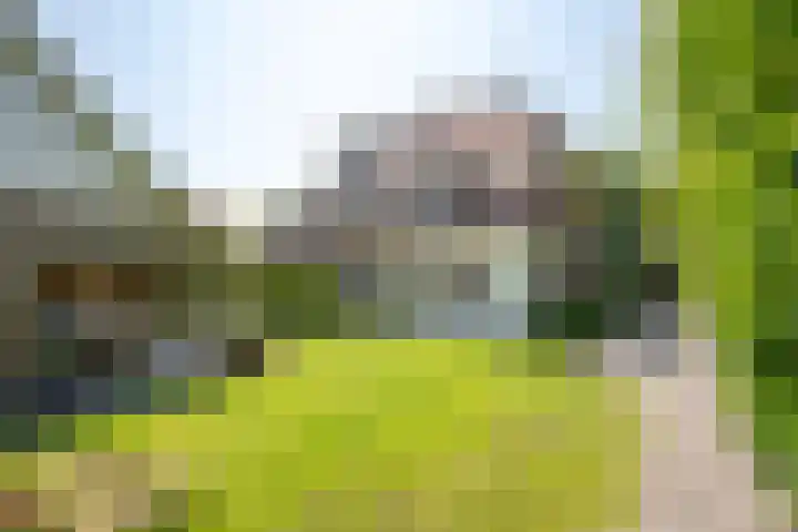 Waldeck Pyrmontlaan 14 Wassenaar thumbnail 25