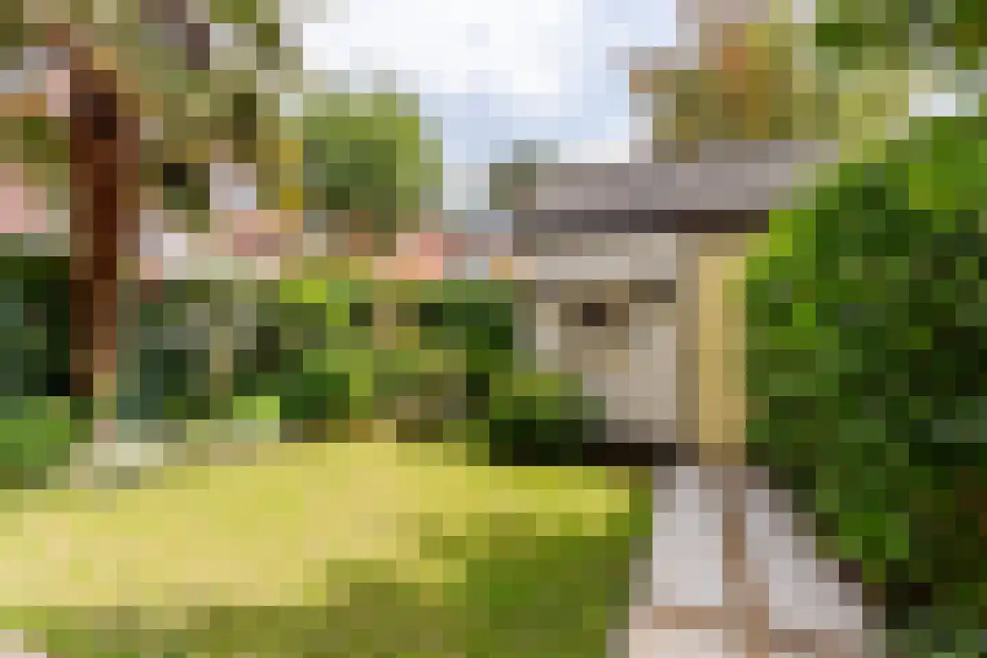 Waldeck Pyrmontlaan 15 Overveen thumbnail 17