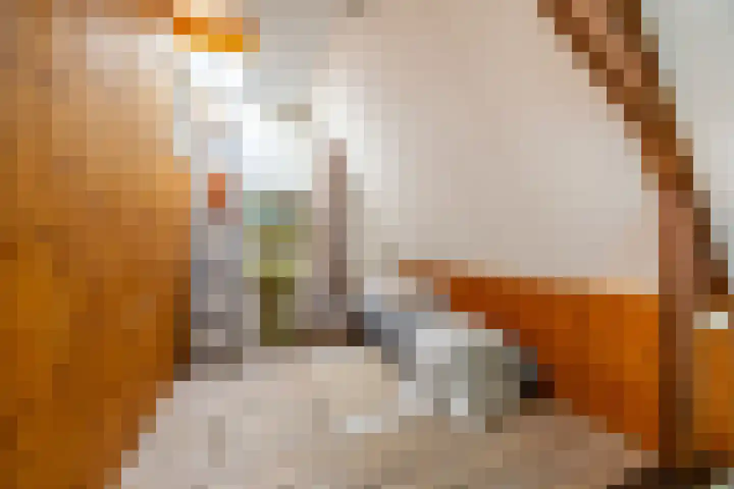Waldeck Pyrmontlaan 15 Overveen thumbnail 38
