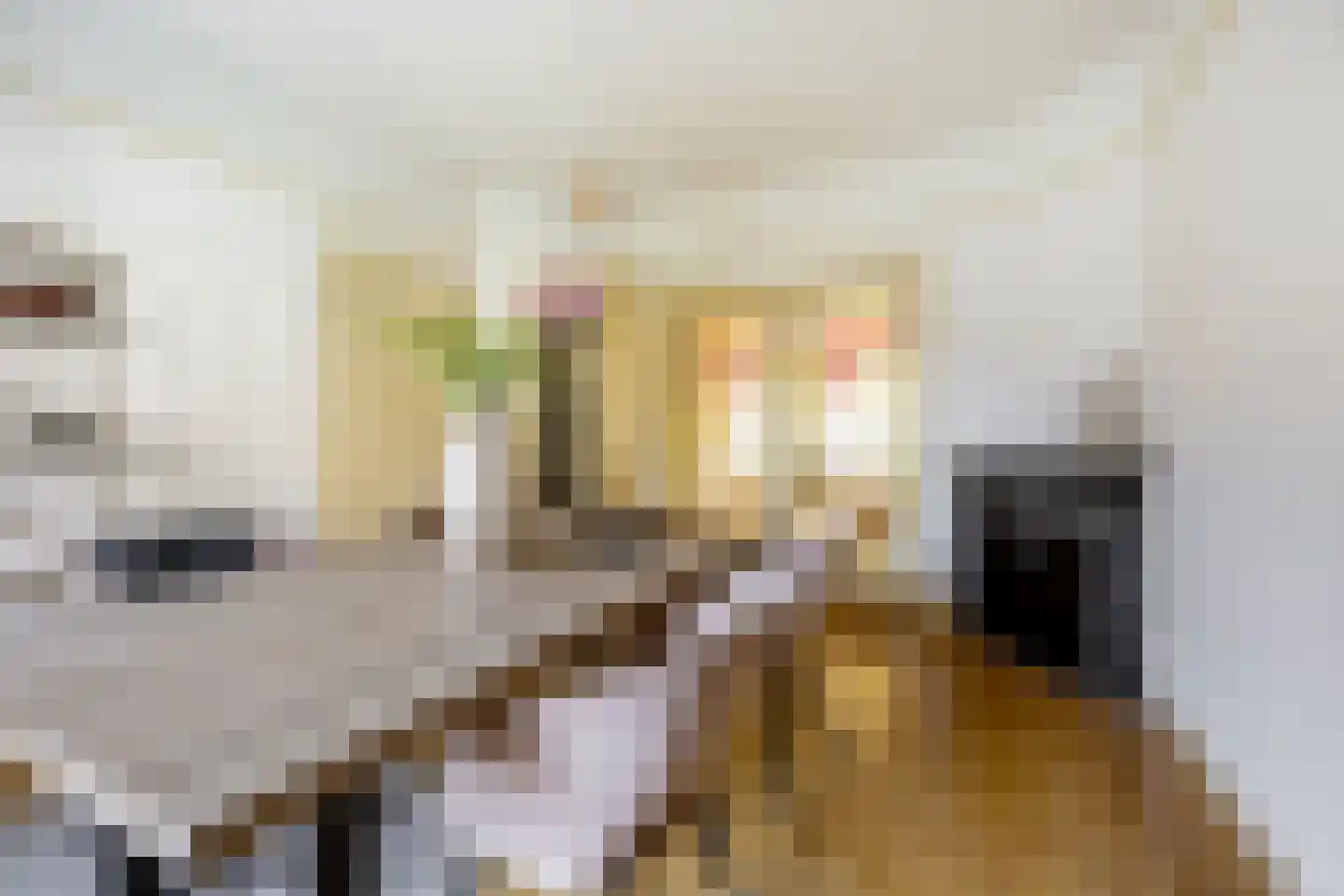 Waldeck Pyrmontlaan 15 Overveen thumbnail 4