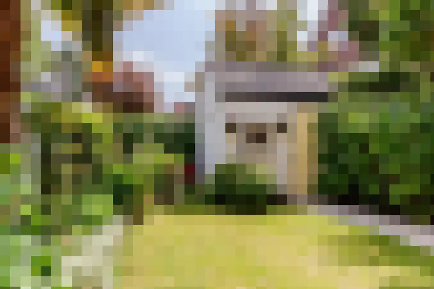 Waldeck Pyrmontlaan 15 Overveen thumbnail 45