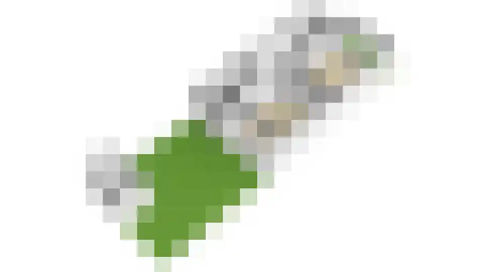 Waldeck Pyrmontlaan 15 Overveen thumbnail 50