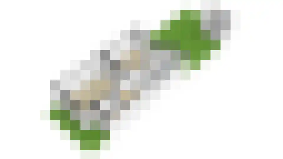 Waldeck Pyrmontlaan 15 Overveen thumbnail 51