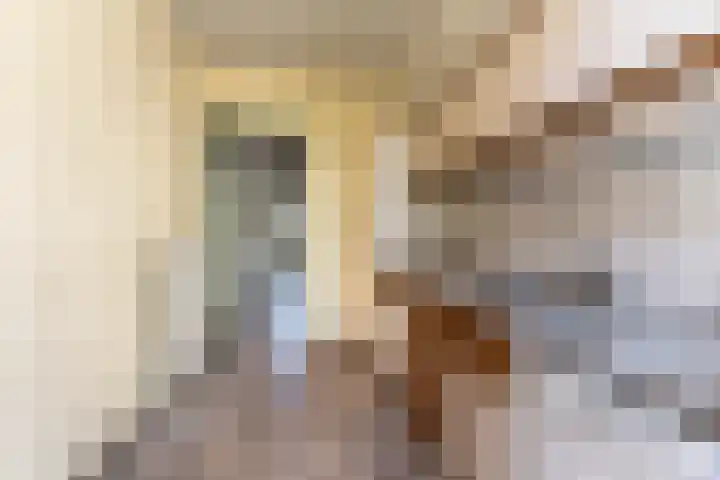 Waldeck Pyrmontlaan 19 Overveen thumbnail 11