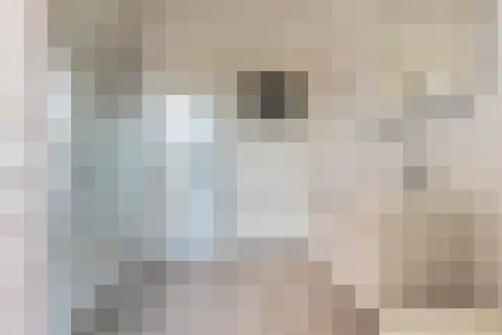Waldeck Pyrmontlaan 19 Overveen thumbnail 22