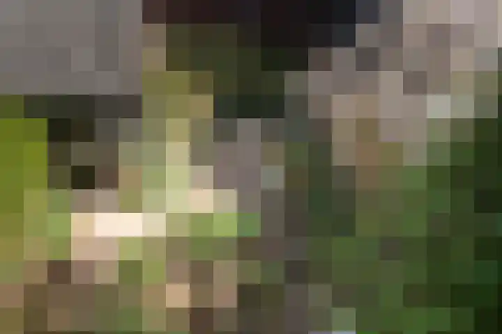 Waldeck Pyrmontlaan 19 Overveen thumbnail 28
