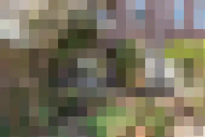 Waldeck Pyrmontlaan 19 Overveen thumbnail 8