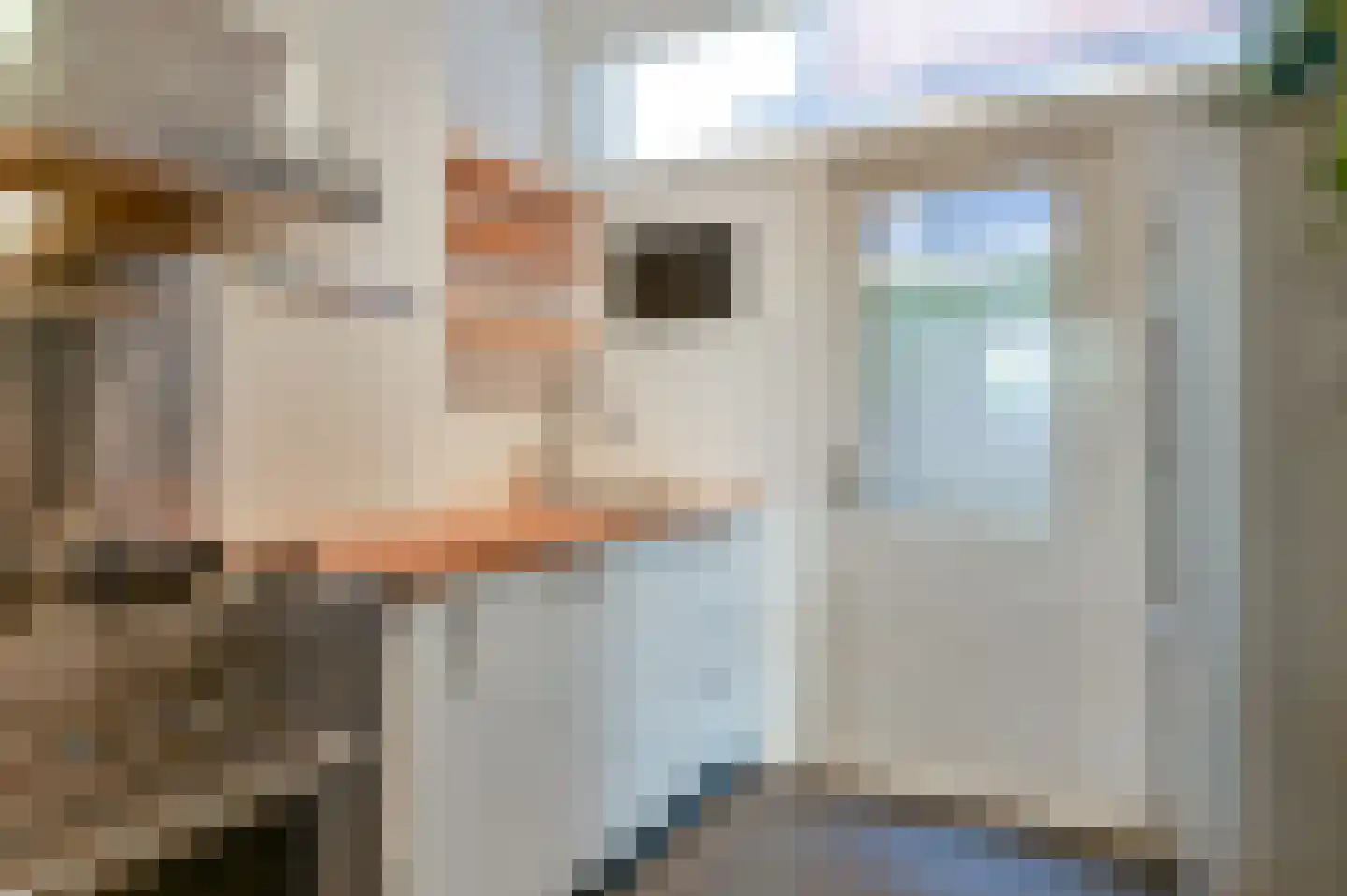Waldeck Pyrmontlaan 2 Overveen thumbnail 15