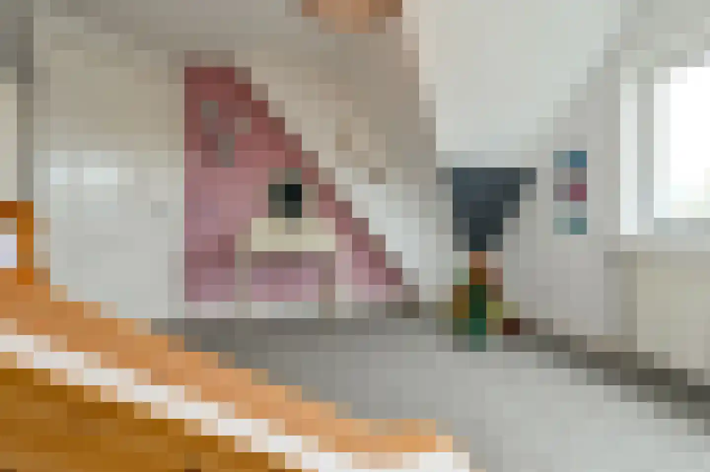 Waldeck Pyrmontlaan 2 Overveen thumbnail 37