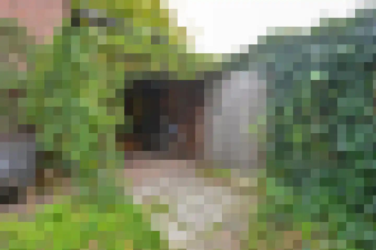 Waldeck Pyrmontlaan 2 Overveen thumbnail 50