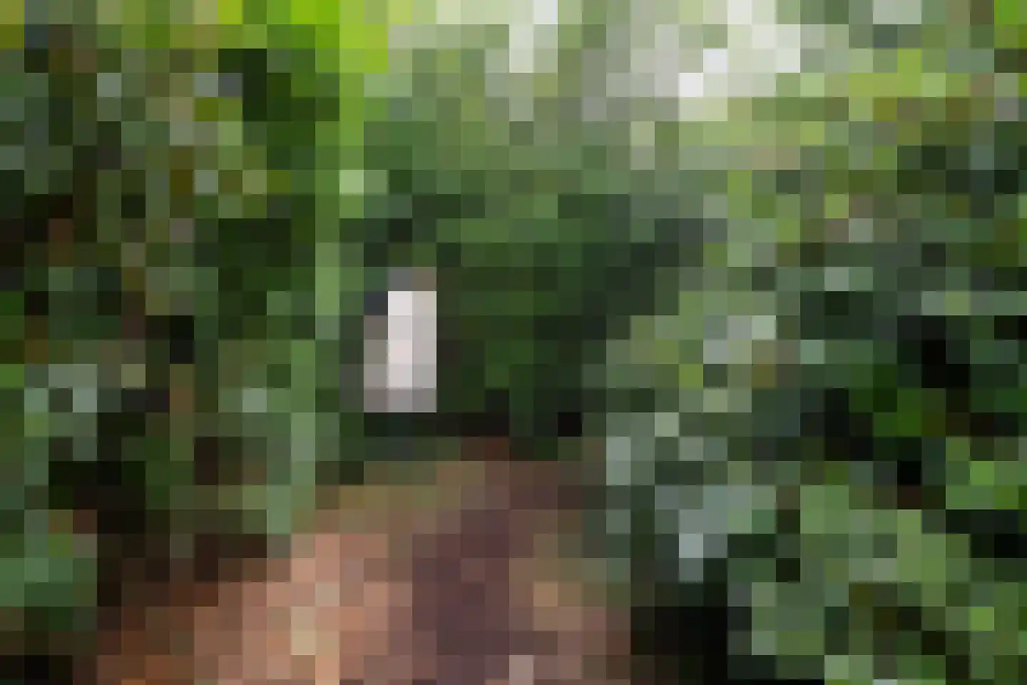 Waldeck Pyrmontlaan 20 Doorwerth thumbnail 43