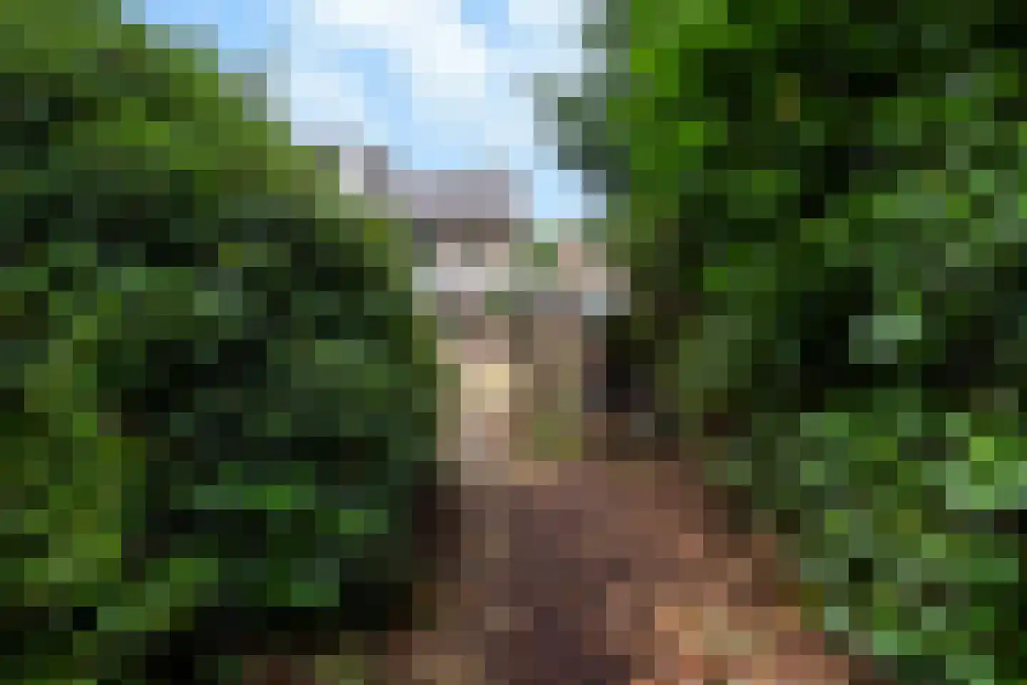 Waldeck Pyrmontlaan 20 Doorwerth thumbnail 44