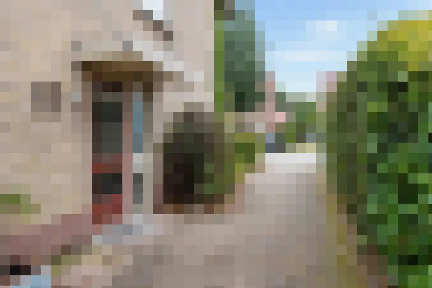 Waldeck Pyrmontlaan 20 Doorwerth thumbnail 5