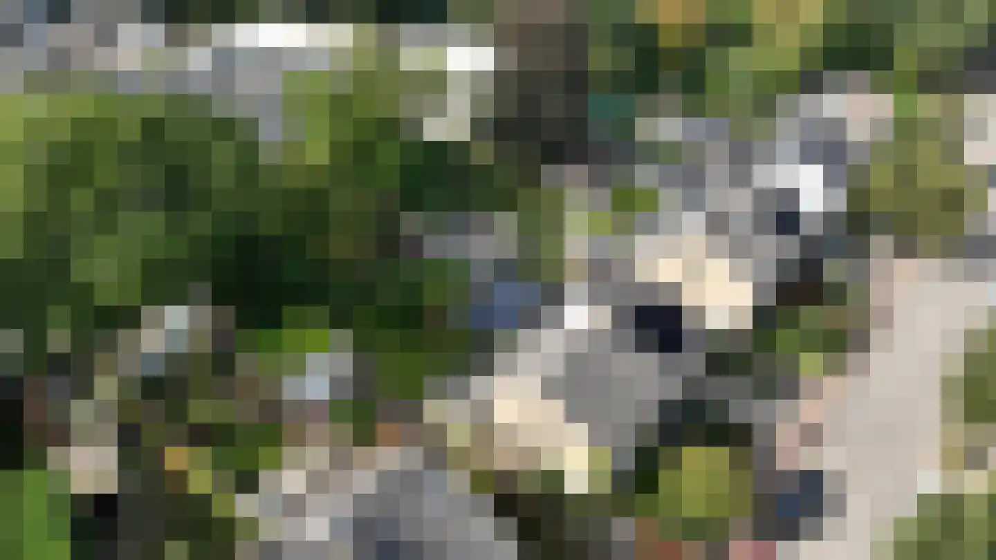 Waldeck Pyrmontlaan 20 Doorwerth thumbnail 51