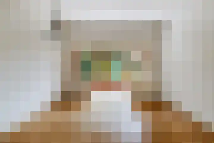 Waldeck Pyrmontlaan 21 Soest thumbnail 12