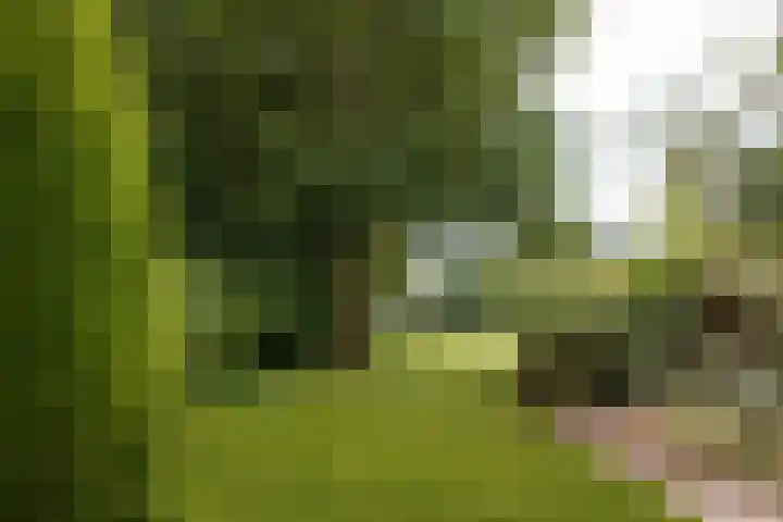 Waldeck Pyrmontlaan 21 Soest thumbnail 17