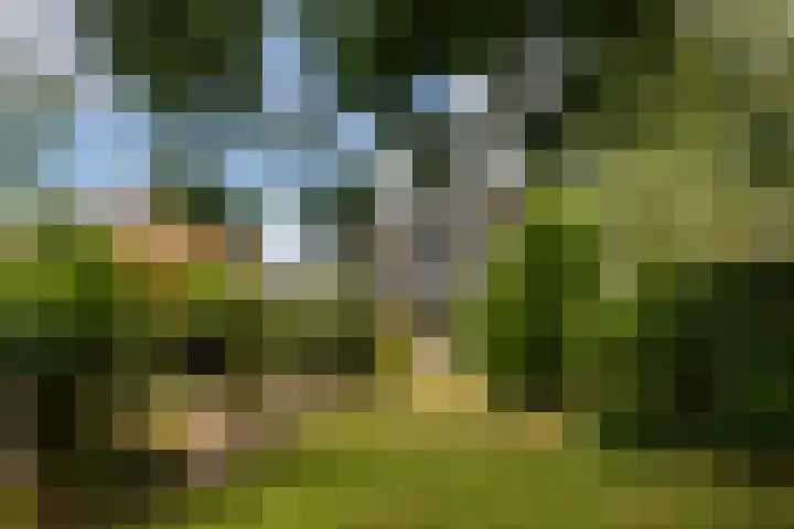 Waldeck Pyrmontlaan 21 Soest thumbnail 18