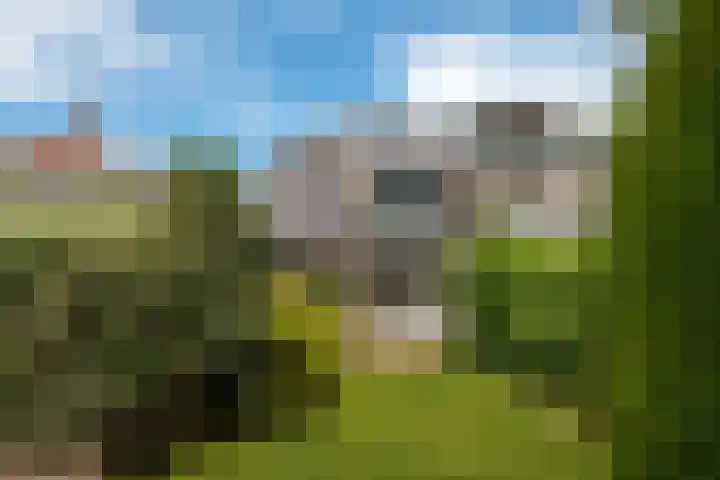 Waldeck Pyrmontlaan 21 Soest thumbnail 19