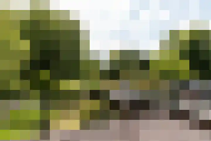 Waldeck Pyrmontlaan 21 Soest thumbnail 25