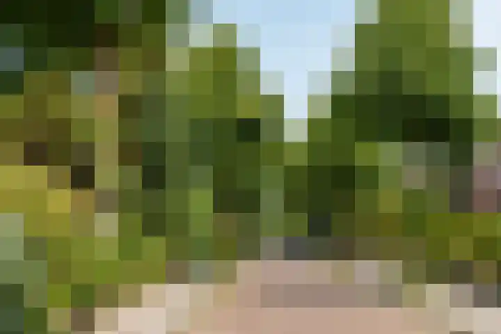 Waldeck Pyrmontlaan 21 Soest thumbnail 32