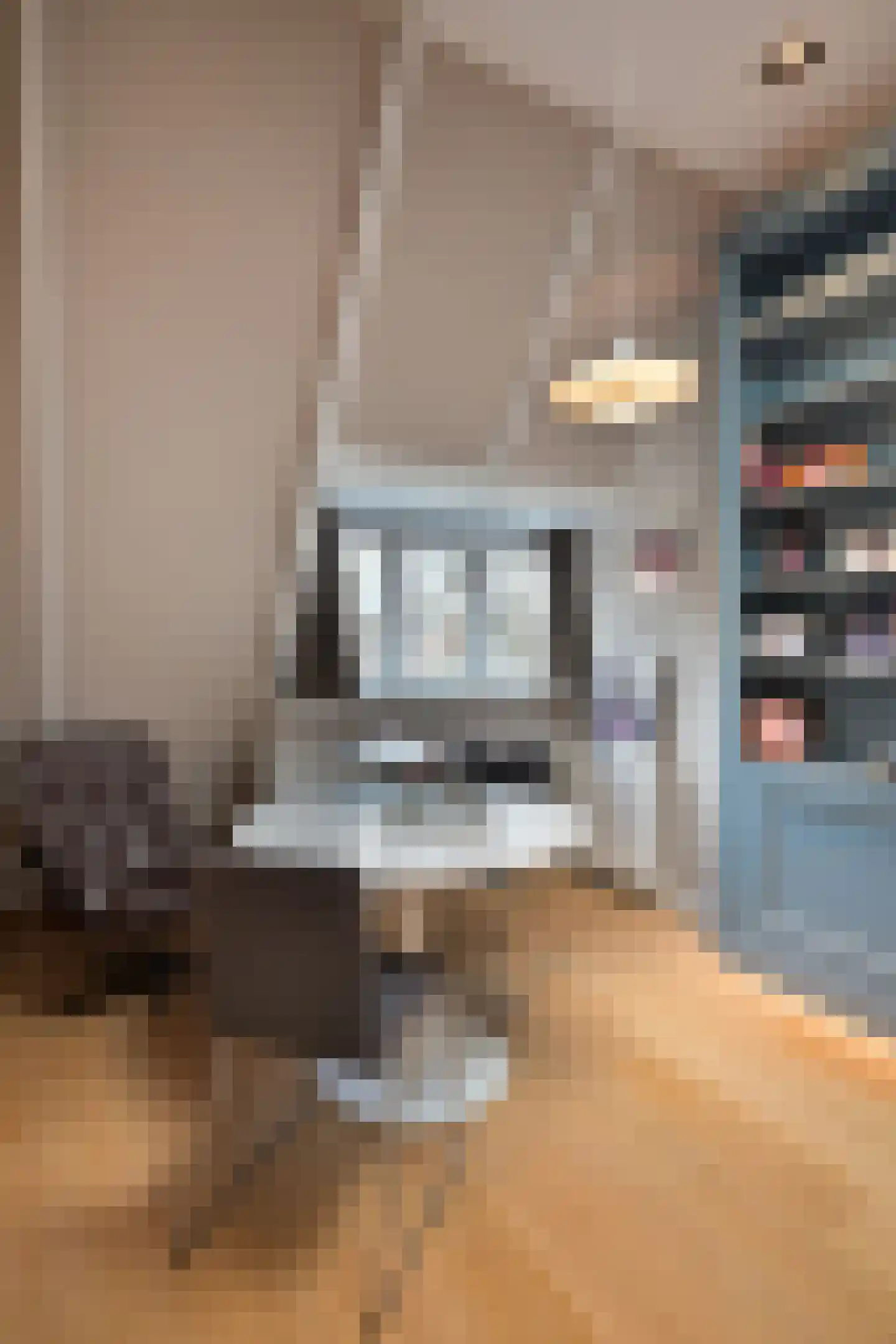 Waldeck Pyrmontlaan 22 Amsterdam thumbnail 19