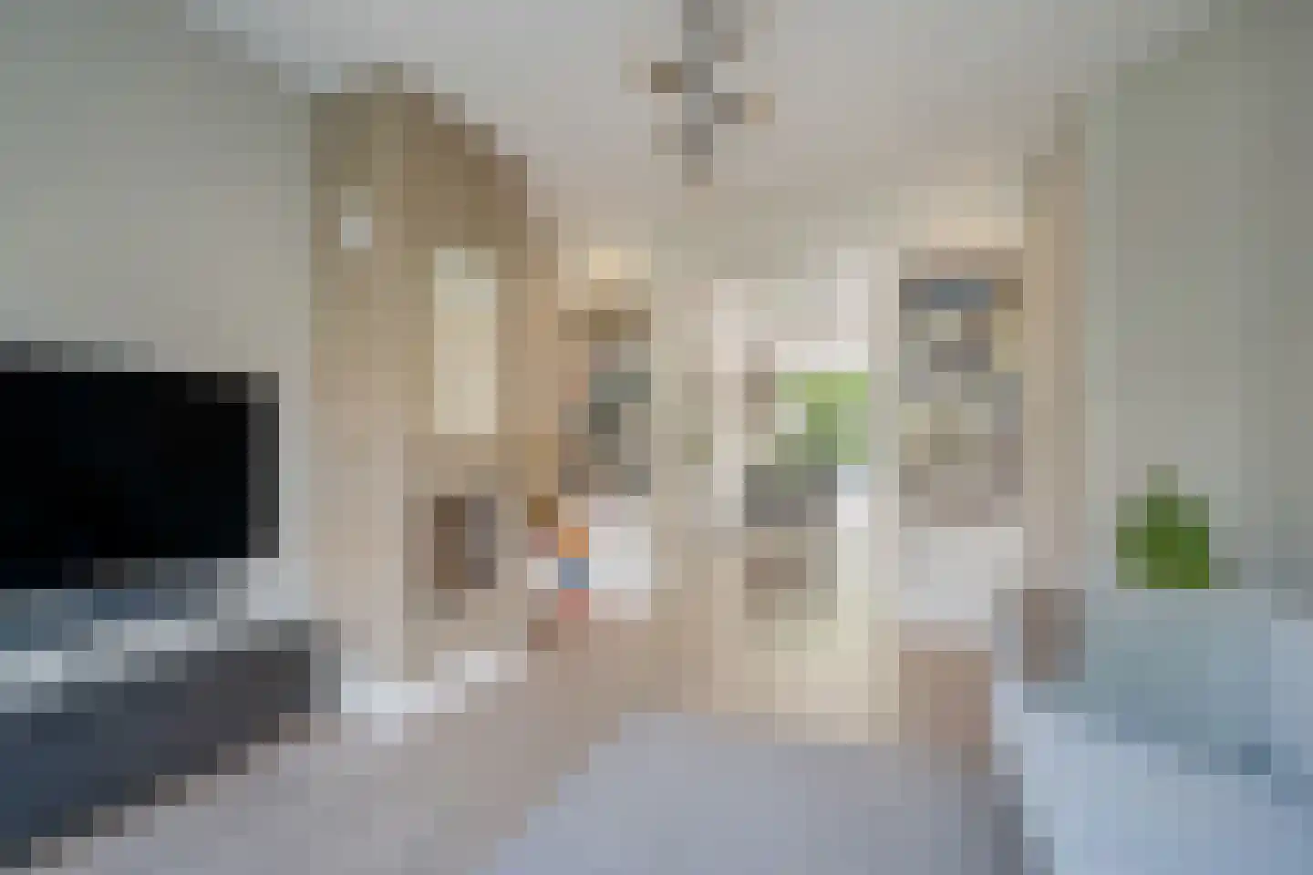 Waldeck Pyrmontlaan 27 Rijswijk thumbnail 11