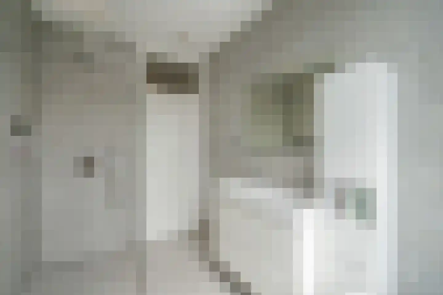 Waldeck Pyrmontlaan 27 Rijswijk thumbnail 29