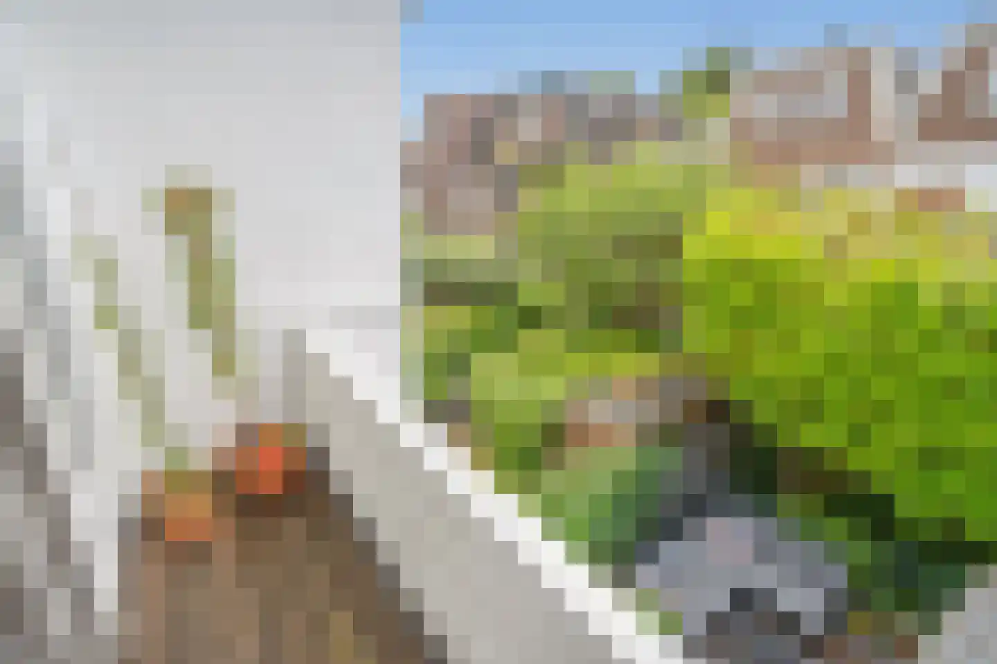 Waldeck Pyrmontlaan 27 Rijswijk thumbnail 31