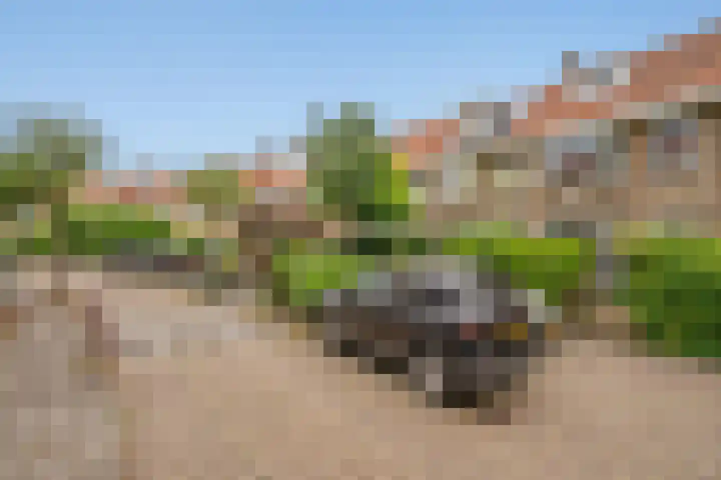Waldeck Pyrmontlaan 27 Rijswijk thumbnail 39