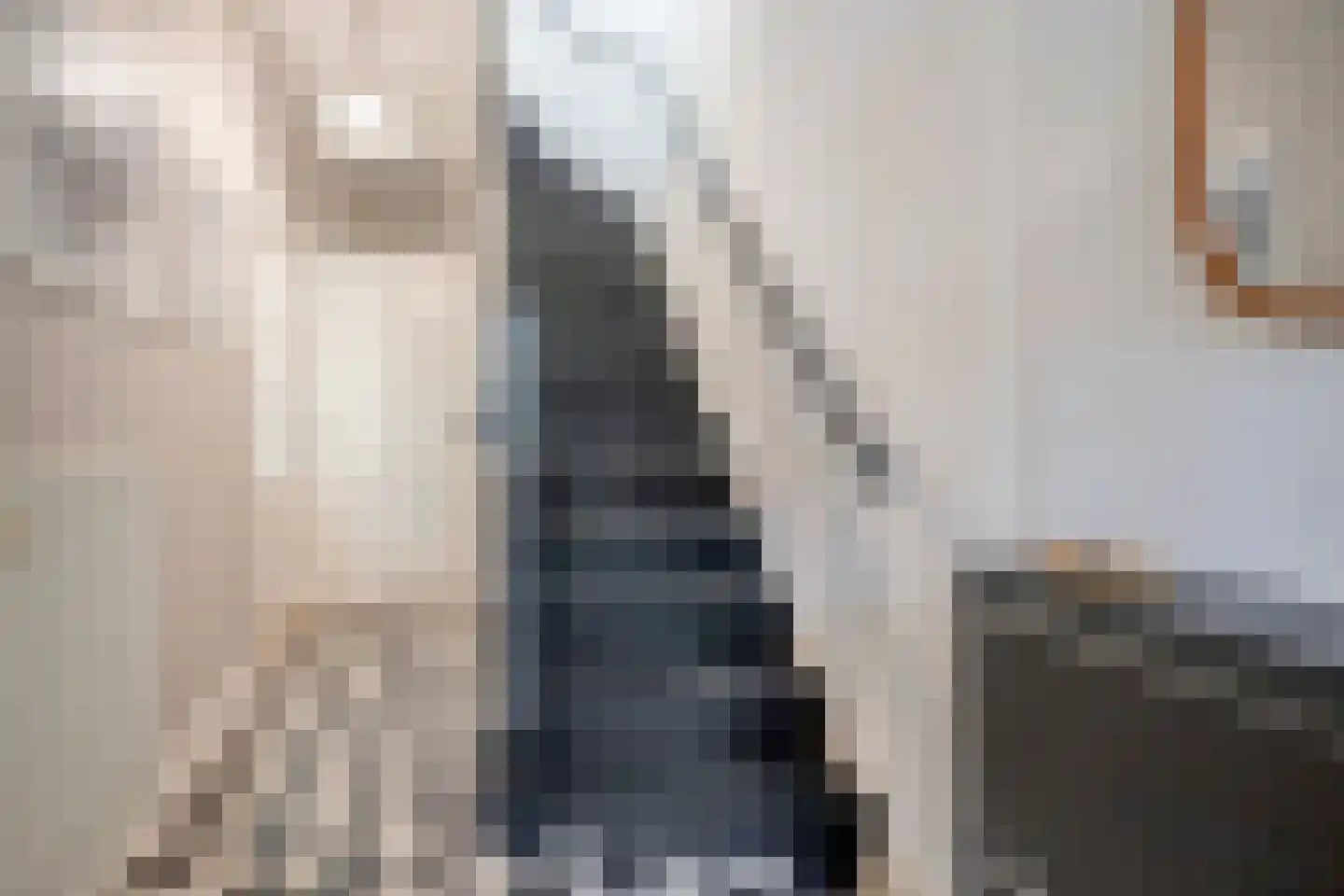 Waldeck Pyrmontlaan 27 Rijswijk thumbnail 7