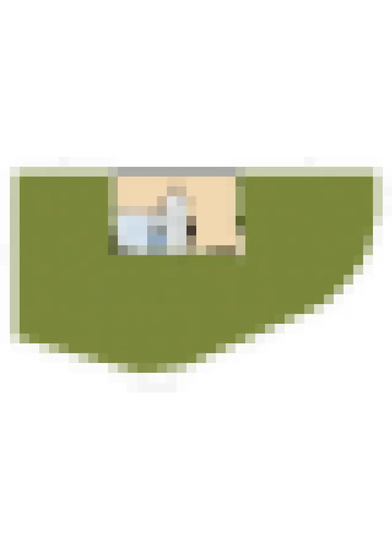 Waldeck Pyrmontlaan 29 Wassenaar thumbnail 32
