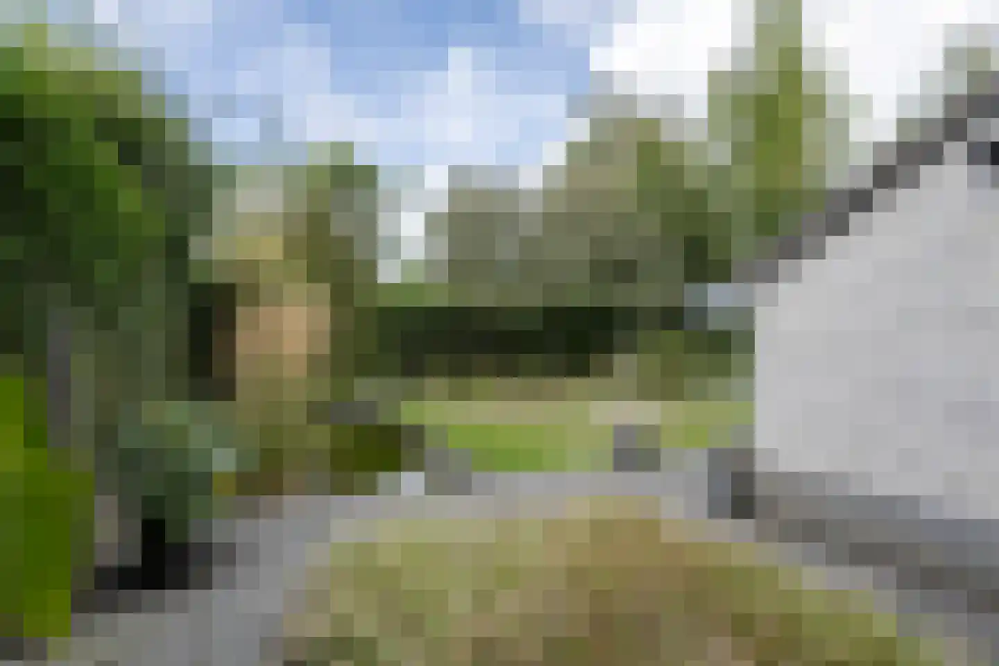 Waldeck Pyrmontlaan 30 Soest thumbnail 28