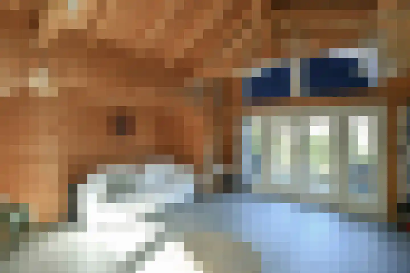 Waldeck Pyrmontlaan 32 Doorwerth thumbnail 39