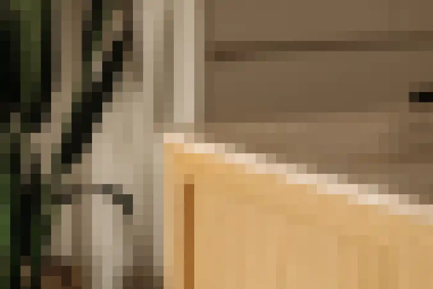 Waldeck Pyrmontlaan 4 1 Amsterdam thumbnail 8