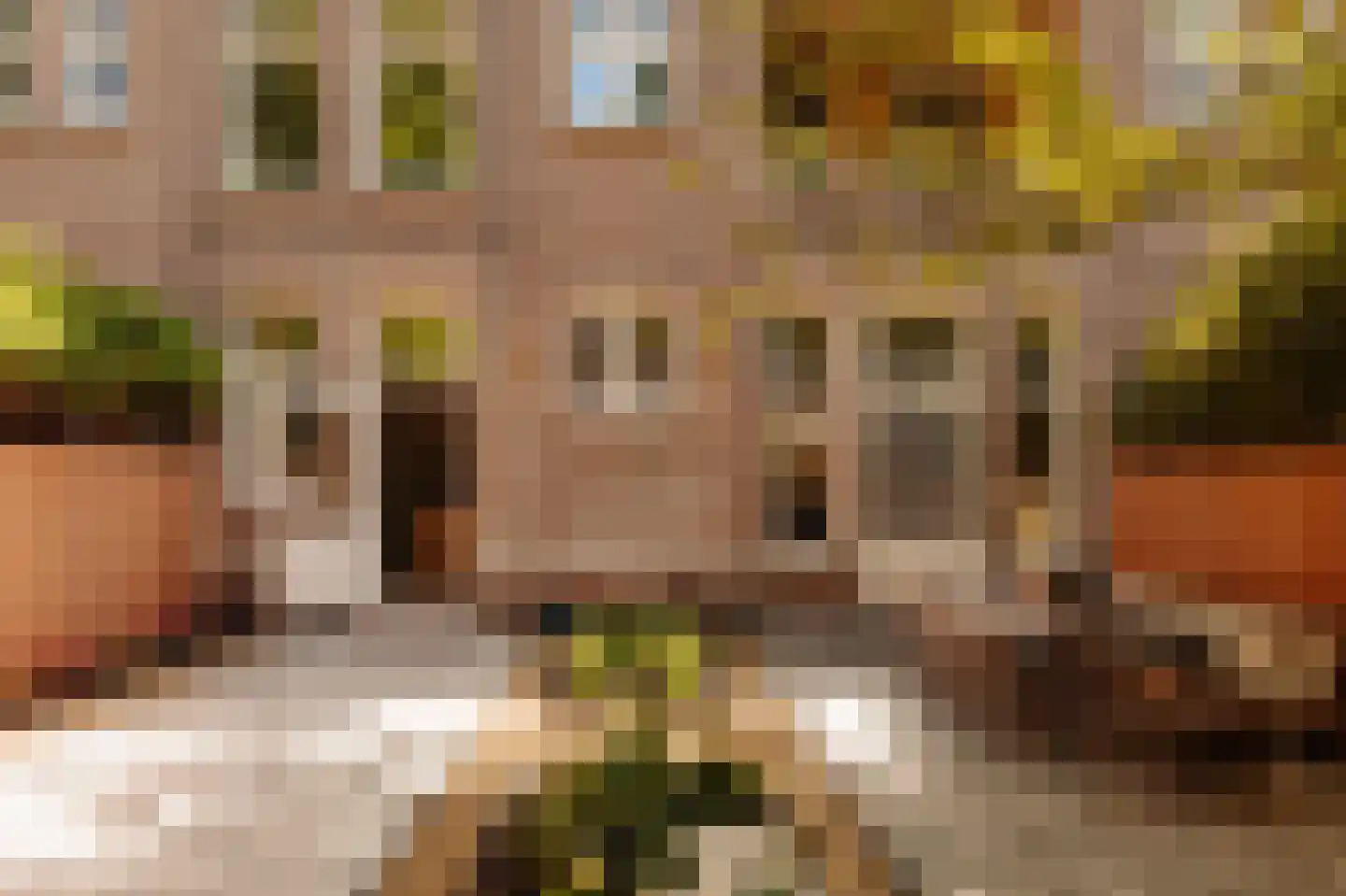 Waldeck Pyrmontlaan 4 H Amsterdam thumbnail 27