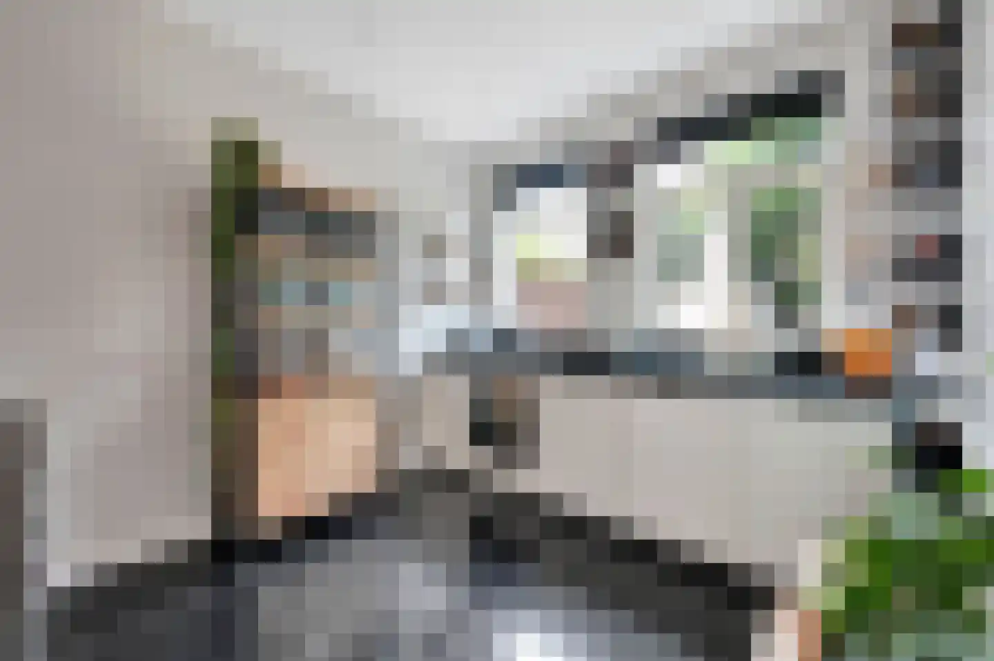 Waldeck Pyrmontlaan 41 Rijswijk thumbnail 15