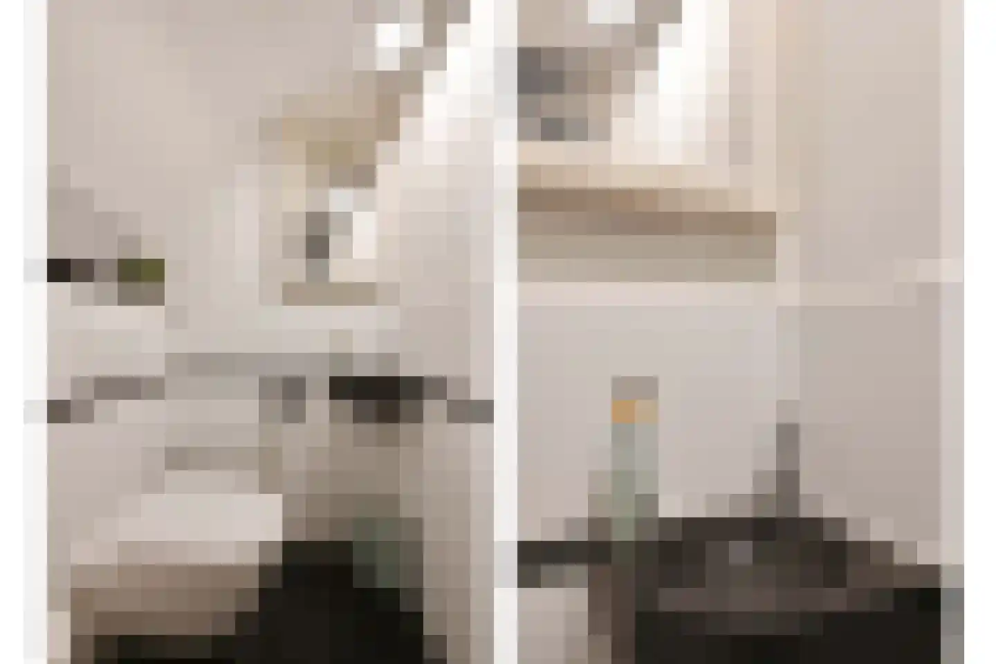 Waldeck Pyrmontlaan 41 Rijswijk thumbnail 20