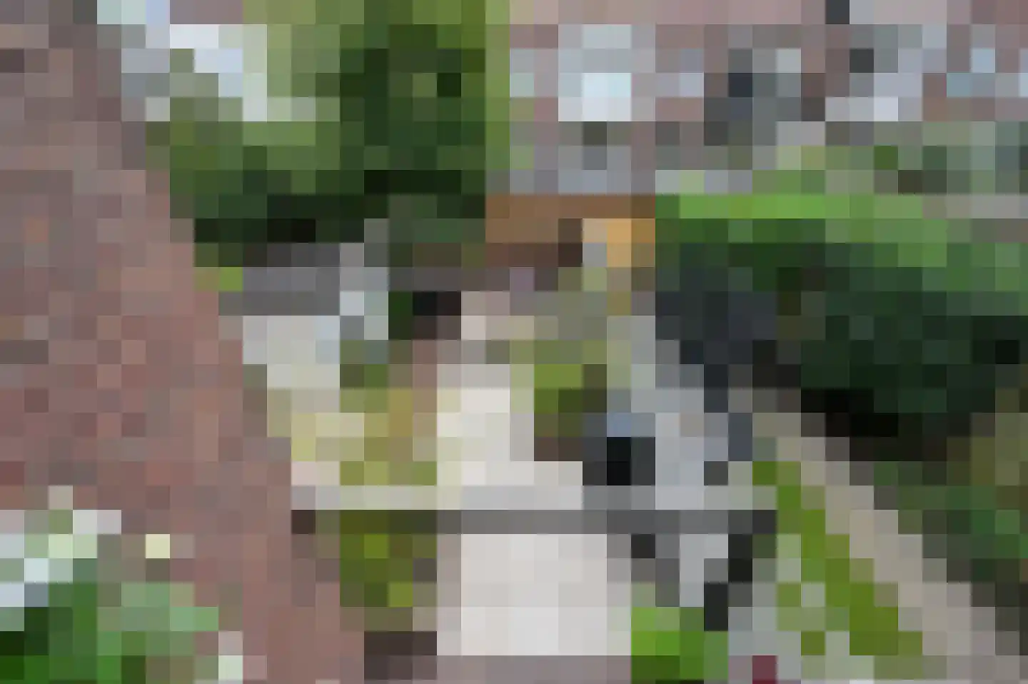 Waldeck Pyrmontlaan 41 Rijswijk thumbnail 34