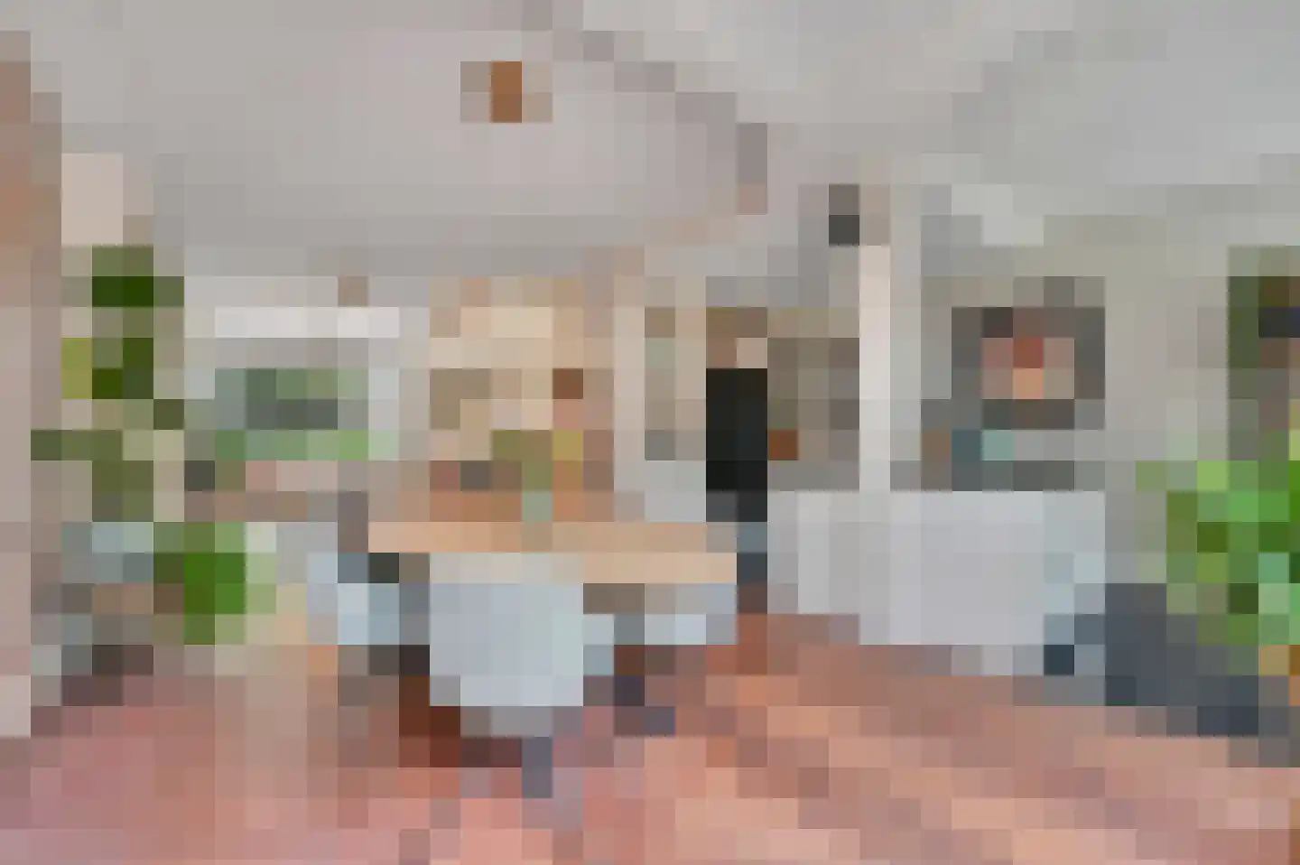 Waldeck Pyrmontlaan 41 Rijswijk thumbnail 4