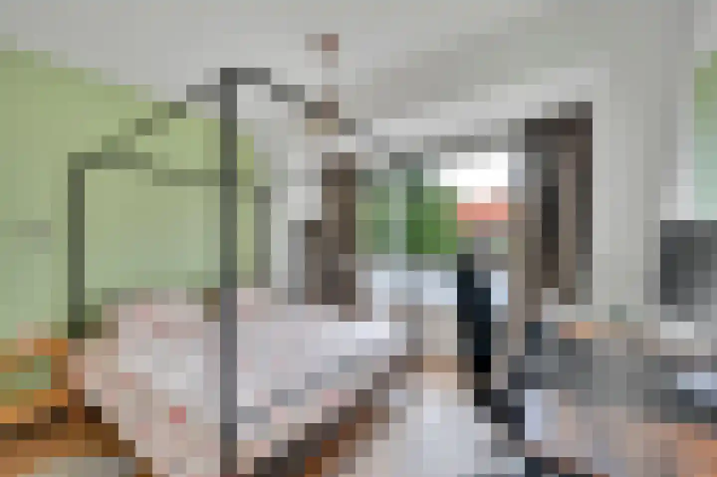 Waldeck Pyrmontlaan 41 Rijswijk thumbnail 41