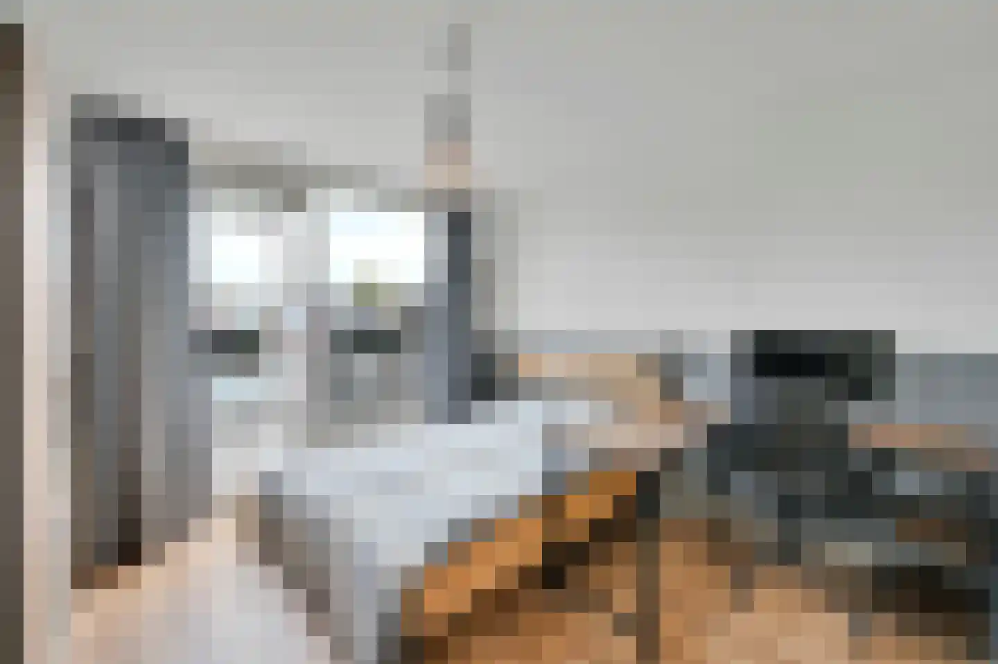 Waldeck Pyrmontlaan 41 Rijswijk thumbnail 47