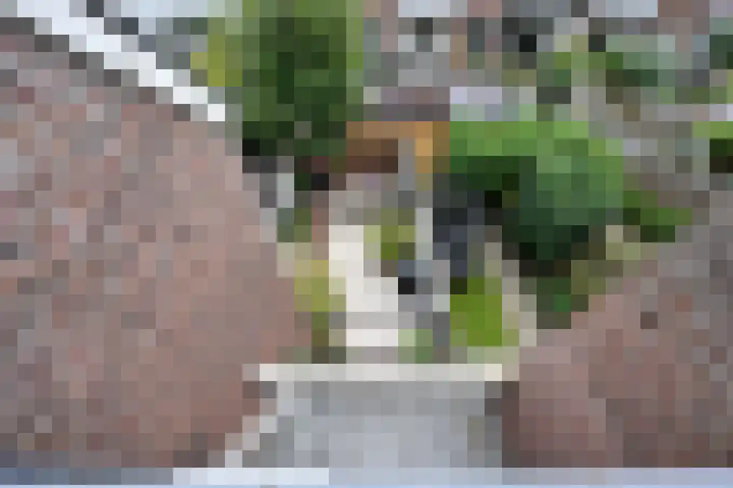 Waldeck Pyrmontlaan 41 Rijswijk thumbnail 51